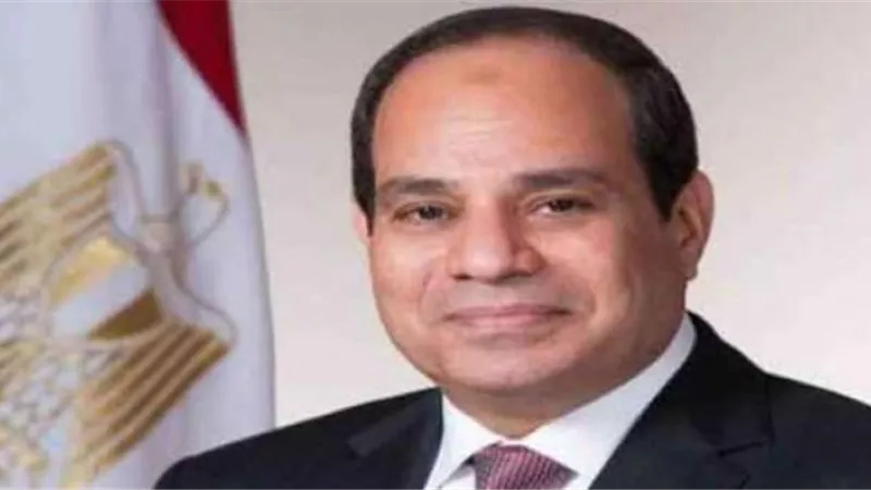 غدا.. رسالة علي المحمول تخبرك باختيارك لاستلام منحة الرئيس السيسي..اعرف التفاصيل