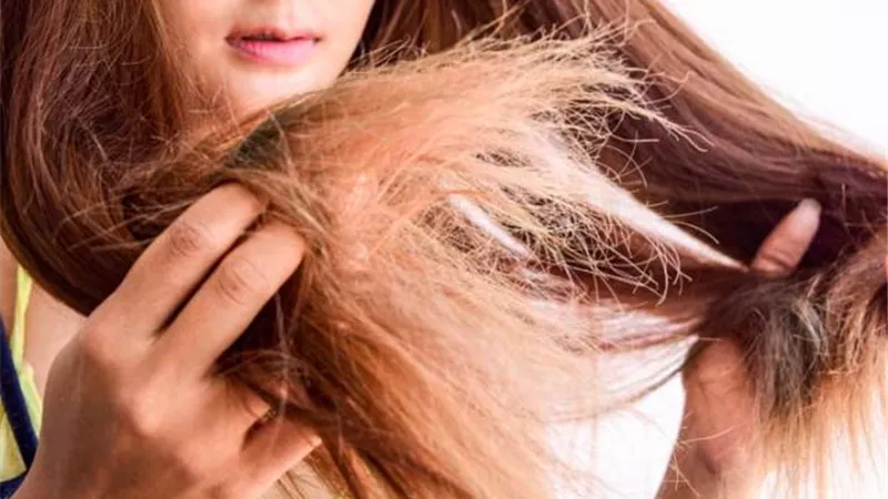 تخلص من تلف الشعر...بهذه الطريقة