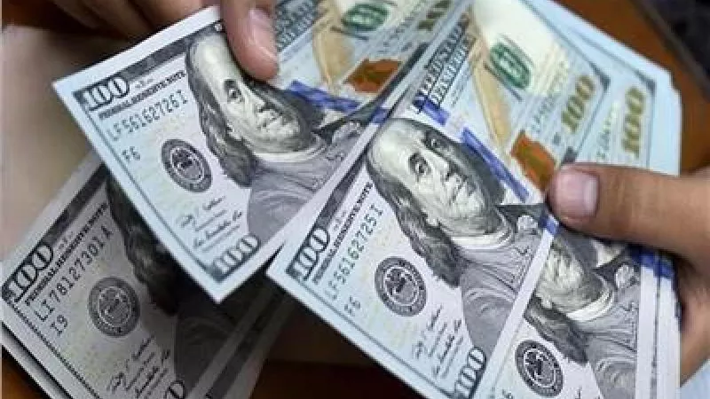 121.9 مليار دولار.. «الإحصاء» يكشف مفاجأة في متحصلات النقد الأجنبي عام 2022/2023