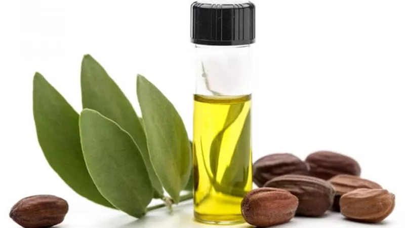 زيت الجوجوبا .. فوائد مثالية للبشرة والشعر