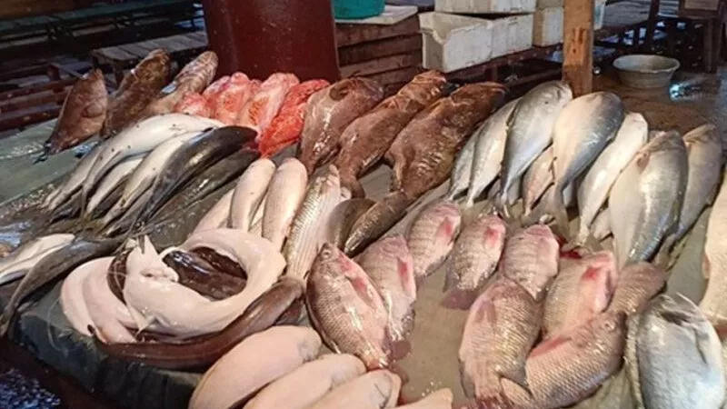أسعار الأسماك اليوم الخميس 28-3-2024