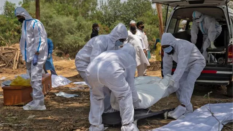 دماء الضحايا بها معادن ثقيلة.. معلومات خطيرة عن الفيروس الهندي الذي يهدد البشرية