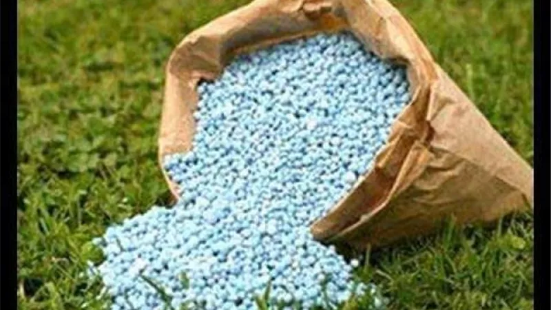 الزراعة وراء نزيف خسائر شركات الأسمدة .. تعرف على التفاصيل