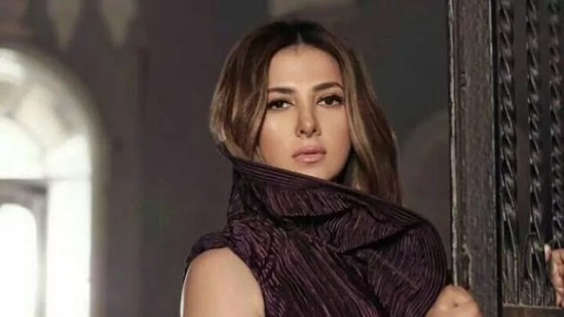 بيهتم بتفاصيل شغلي وبيشجعني.. أبرز تصريحات دنيا سمير غانم عن زوجها