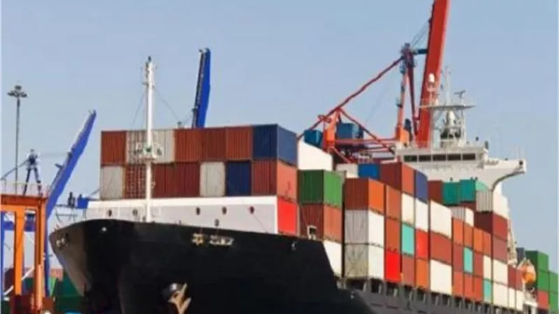 76% زيادة في الصادرات المصرية للسوق الياباني خلال عام 2020