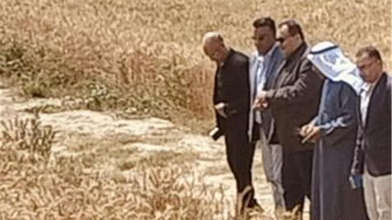 «الزراعة» تشهد افتتاح موسم حصاد القمح في سيناء