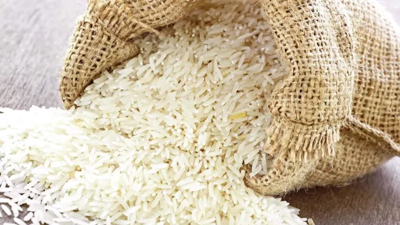 خطة الحكومة لزراعة أصناف جديدة من الأرز وتوفيره بالأسواق