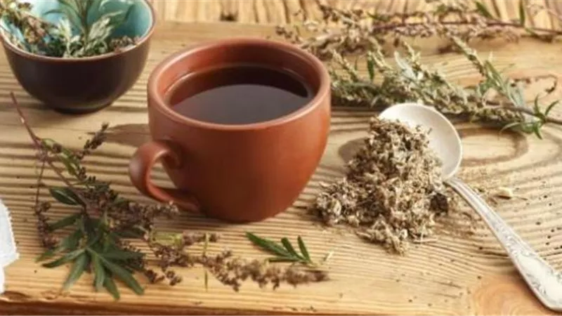 أبرز الفوائد الصحية التي تدفعك إلي تناول كوب من الشيح يوميًا