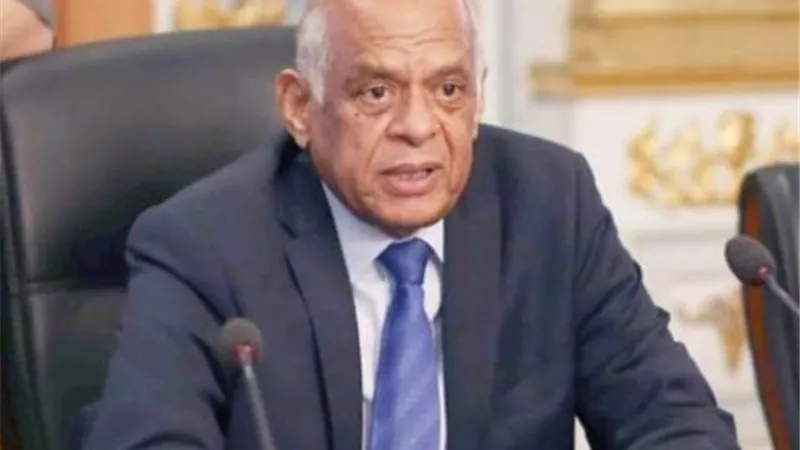 عاجل.. أول رد رسمي من مصر علي أكاذيب البرلمان الأوروبي