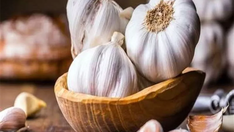 أسعار الثوم الجديد في مصر.. ارتفاعات جنونية لهذه الأسباب
