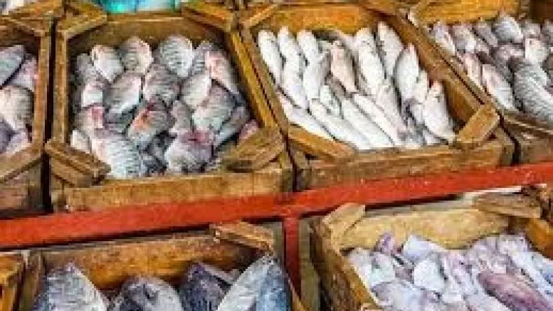 بعد نجاحها.. ”خليها تعفن” تنطلق في الغربية لخفض أسعار السمك