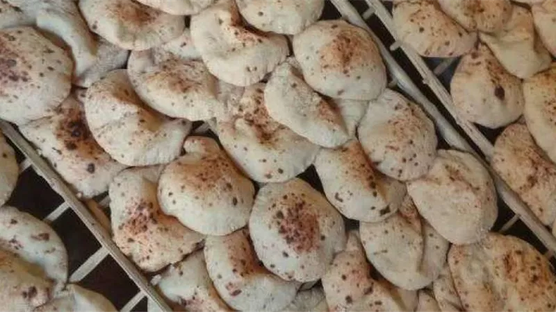 تصل للحبس وغرامة .. جهود وزارة التموين على مخالفة تسعيرة العيش السياحي