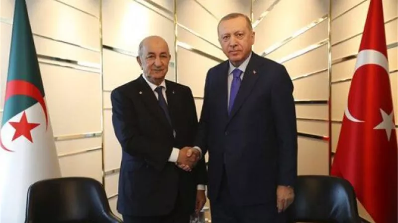 لهذا السبب.. أردوغان يجري اتصالًا هاتفيًا بالرئيس الجزائري