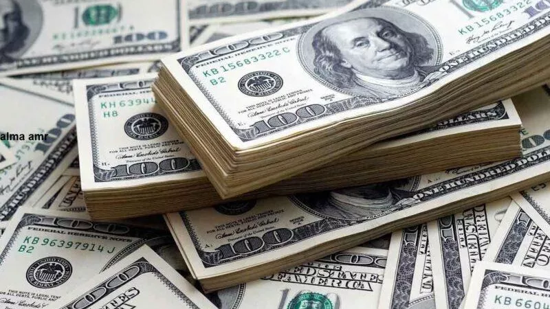سعر الدولار اليوم الخميس 25-4-2024 بعد آخر انخفاض في البنوك