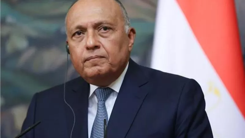 القضية الفلسطينية واضطرابات التجارة.. أبرز ملفات وزير الخارجية بالمنتدى الاقتصادي العالمي اليوم