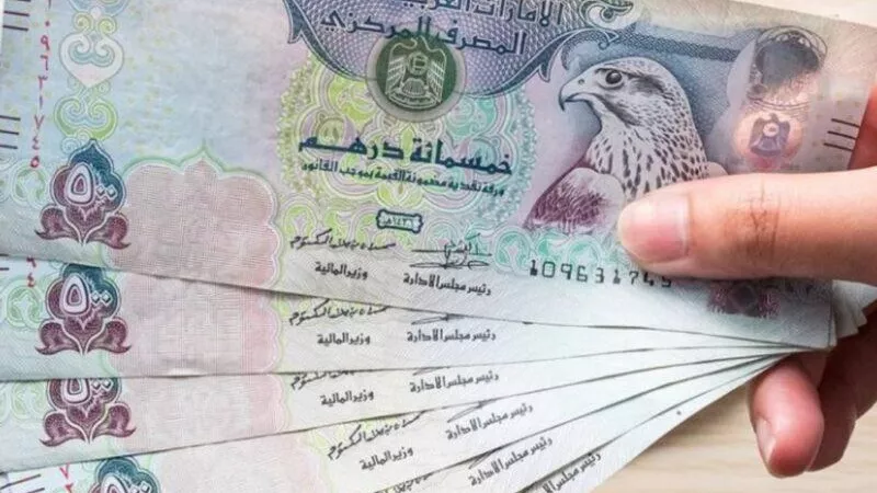 سعر الدرهم الإماراتي مقابل الجنيه المصري قبل أجازة البنوك