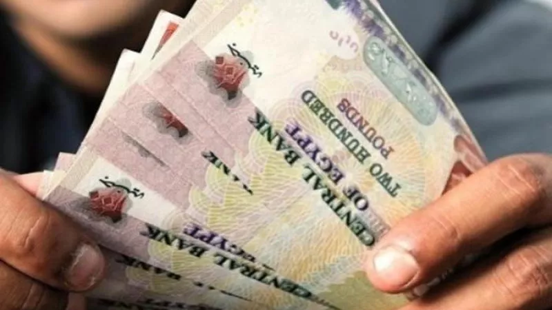 برابط وزارة القوى العاملة.. كيف تحصل العمالة غير المنتظمة على منحة عيد العمال؟