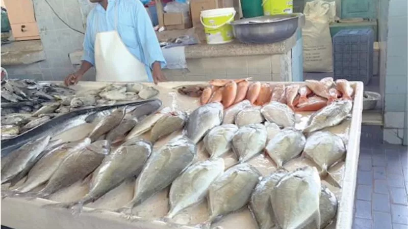 أسعار السمك «مستقرة» فى سوق الجملة بالعبور