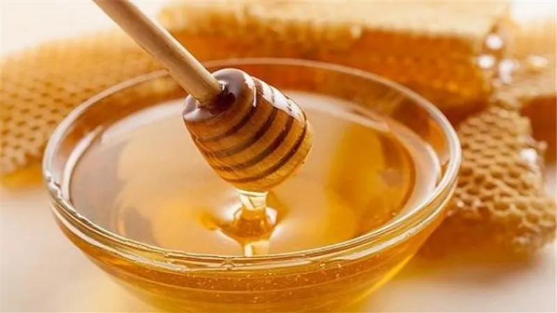 مصر تحتل المرتبة الثانية فى إنتاج العسل عربيا.. ارتفاع صادرات النحل الحى فى 2020