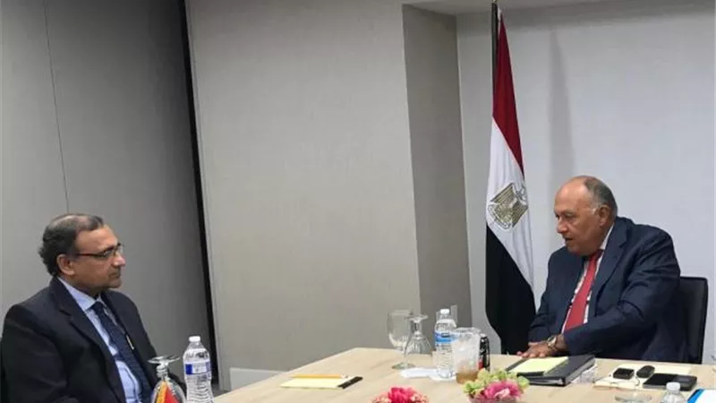 شكرى يلتقى مندوب الهند لدى الأمم المتحدة لعرض موقف مصر من سد النهضة