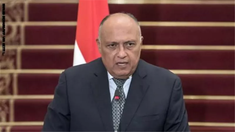 شكري يستعرض تحديات الدبلوماسية المصرية في ندوة لمجلس الأعمال المصري للتعاون الدولي