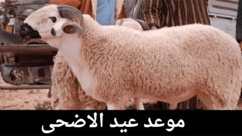 9 أيام أجازة رسمية.. اعرف موعد عيد الاضحى 2024 وتاريخ وقفة عرفات (فيديوجراف)