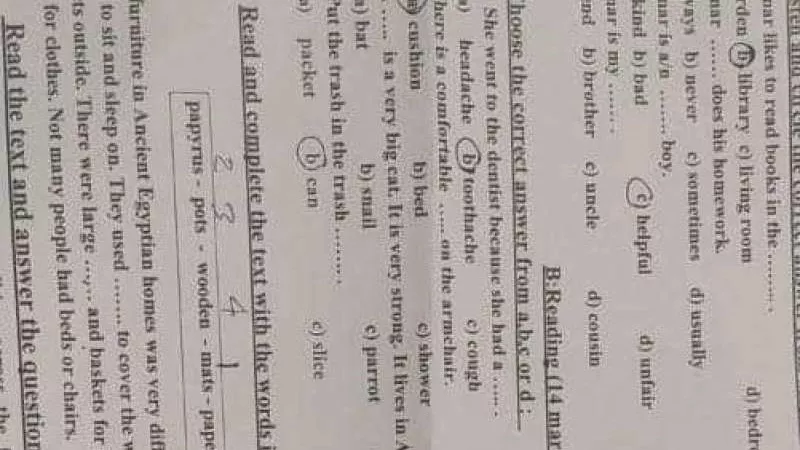 تسريب امتحانات الصف الخامس الابتدائي في مادة اللغة الإنجليزية بنموذج الإجابة