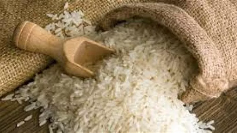 عاجل.. مفاجأة في أسعار الأرز الشعير اليوم السبت 18-5-2024