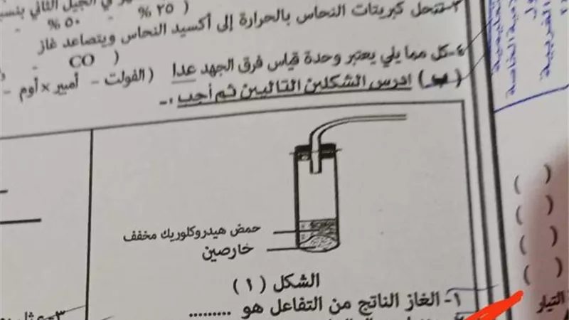 داليا الحزاوي:  شكاوي بسبب سؤال خارج منهج علوم القاهرة في امتحانات الشهادة الإعدادية