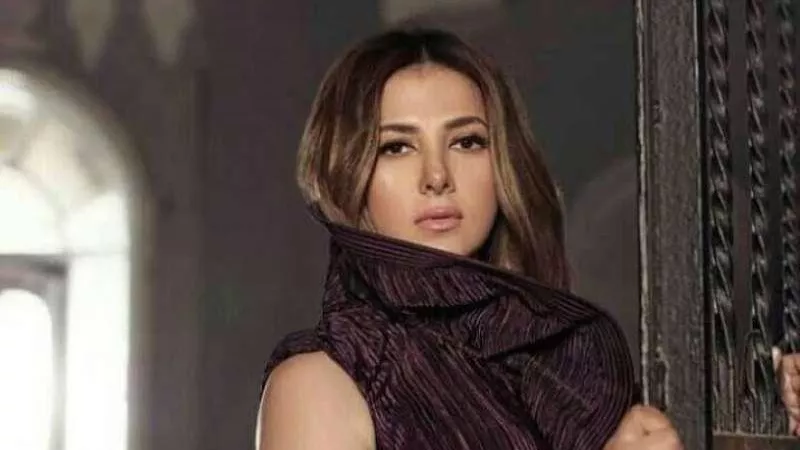تفاصيل شخصية دنيا سمير غانم في فيلم روكي الغلابة