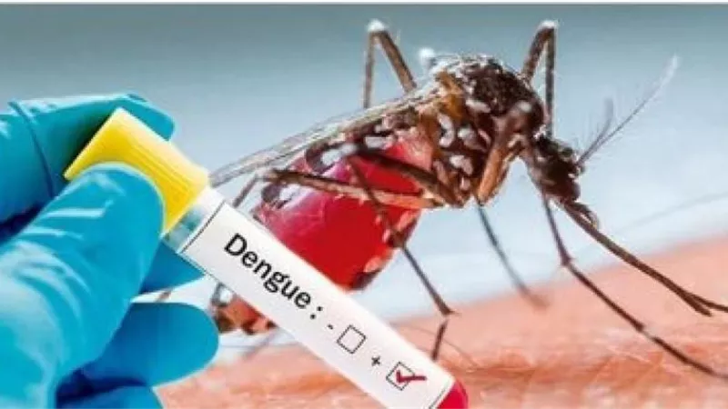 لقاح جديد لحمى الضنك.. اعرف التفاصيل