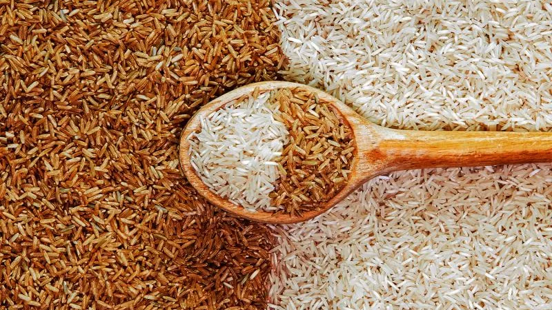 سعر الأرز الشعير اليوم الأحد 25-5-2024 يصدم المصريين