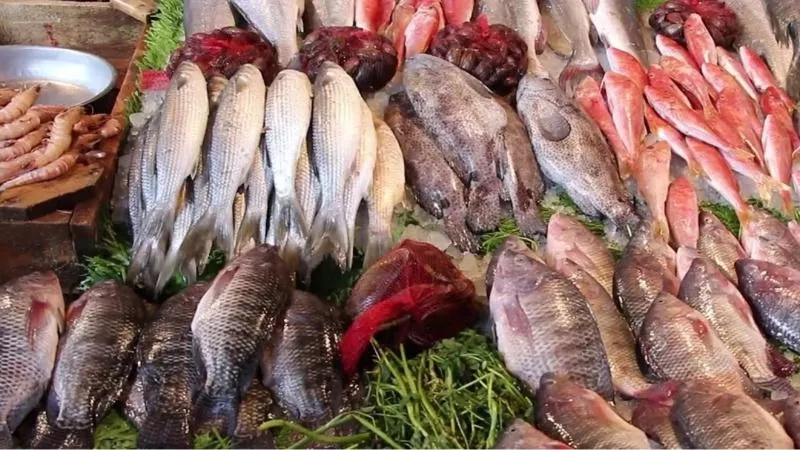 أسعار الأسماك اليوم الأربعاء 29-5-2024.. ارتفاع جديد