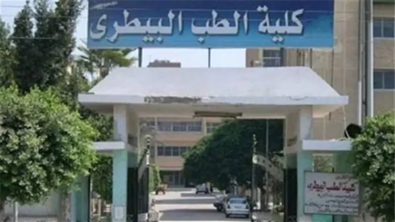 حقيقة زيادة الدراسة بكليات الطب البيطري لـ 6 سنوات