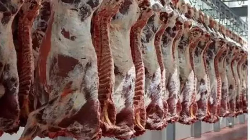 تراجع في أسعار اللحوم اليوم بالمجمعات والمنافذ الاستهلاكية