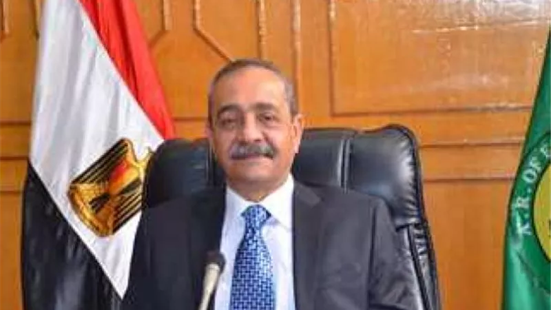 استقالة رئيس حي ثالث الإسماعيلية لسبه مواطنة