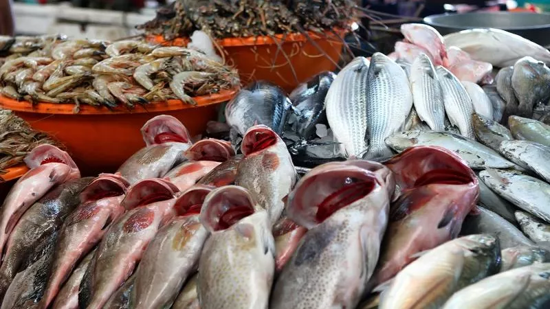 انخفاض أسعار الأسماك اليوم الجمعة 21-6-2024