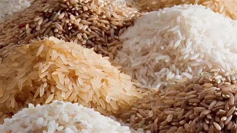 سعر طن الأرز الشعير اليوم الجمعة 21 يونيو 2024 والسلع الأساسية بالأسواق