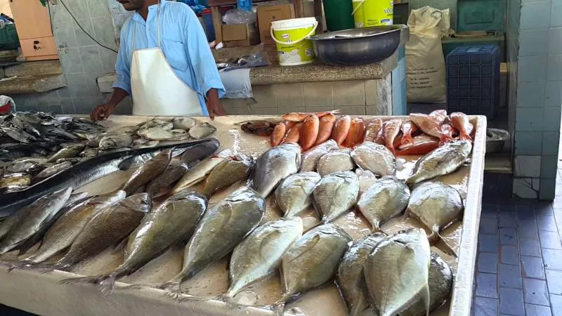 بلطي ومكرونة وجمبري.. أسعار الأسماك اليوم السبت 22 يونيو 2024