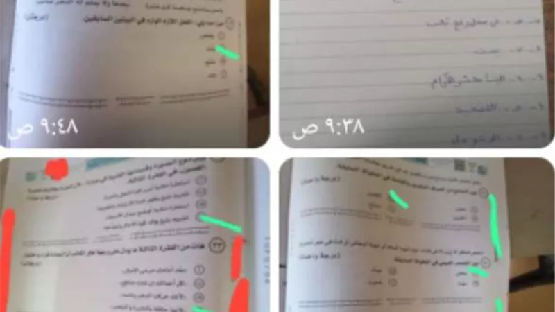 اعرفها صح ولا غلط.. إجابات امتحانات الثانوية العامة 2024 بمادة اللغة العربية المزعومة من شاومينج