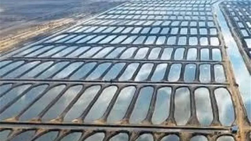 الأكبر فى الشرق الأوسط .. كل ماتريد معرفته عن مشروع الفيروز للاستزراع السمكي