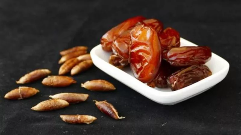 فوائد سحرية لمسحوق نواة التمر.. تعرفي عليها