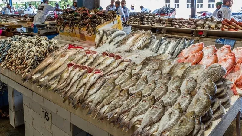 أسعار الأسماك اليوم الجمعة 28-6-2024 في سوق العبور
