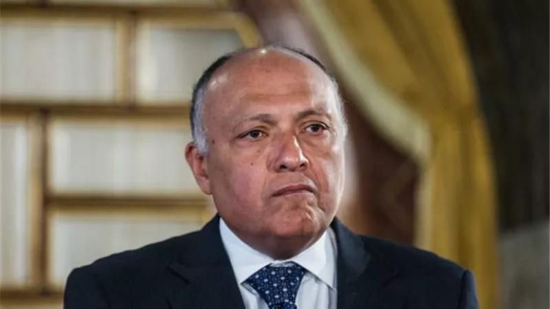 وزير الخارجية: ننسق مع مجلس الأمن لمكافحة الإرهاب وتجفيف منابع تمويله