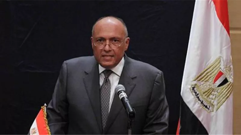 وزير الخارجية يعلن مسار التفاوض فى أزمة سد النهضة