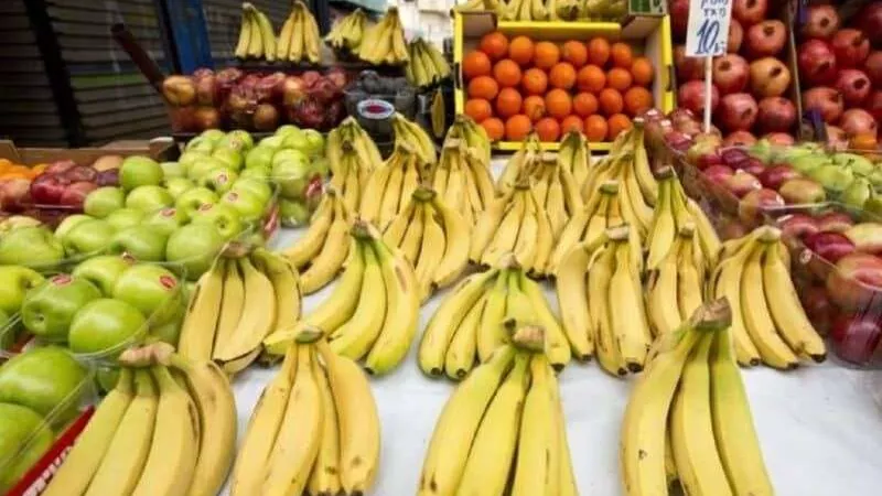 أسعار الفاكهة اليوم السبت 6 يوليو 2024.. البطيخ بـ 20 جنيه