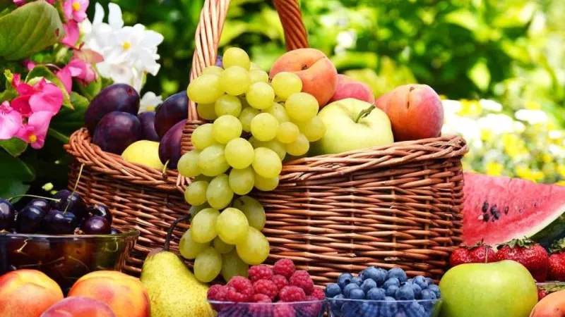 أسعار الفاكهة اليوم الإثنين 8 يوليو 2024.. استقرار في الأسواق
