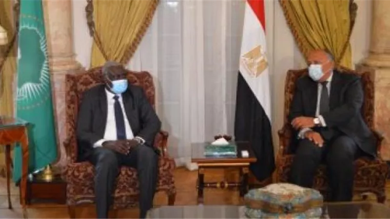 شكرى يبحث مع رئيس مفوضية الاتحاد الأفريقى تطورات أزمة سد النهضة