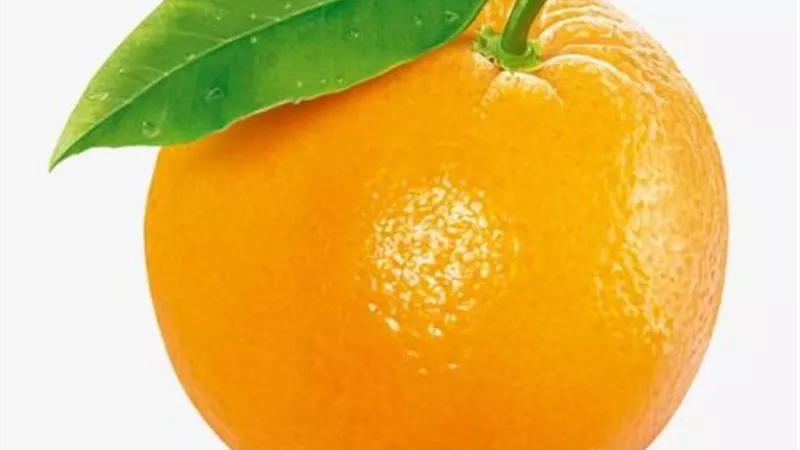 5 فوائد مهمةللبرتقال السكري ...تعرف عليهم