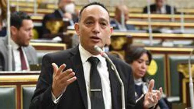 بالأرقام .. نائب برلماني يفضح جرائم الحكومة في حق الوطن والمواطن